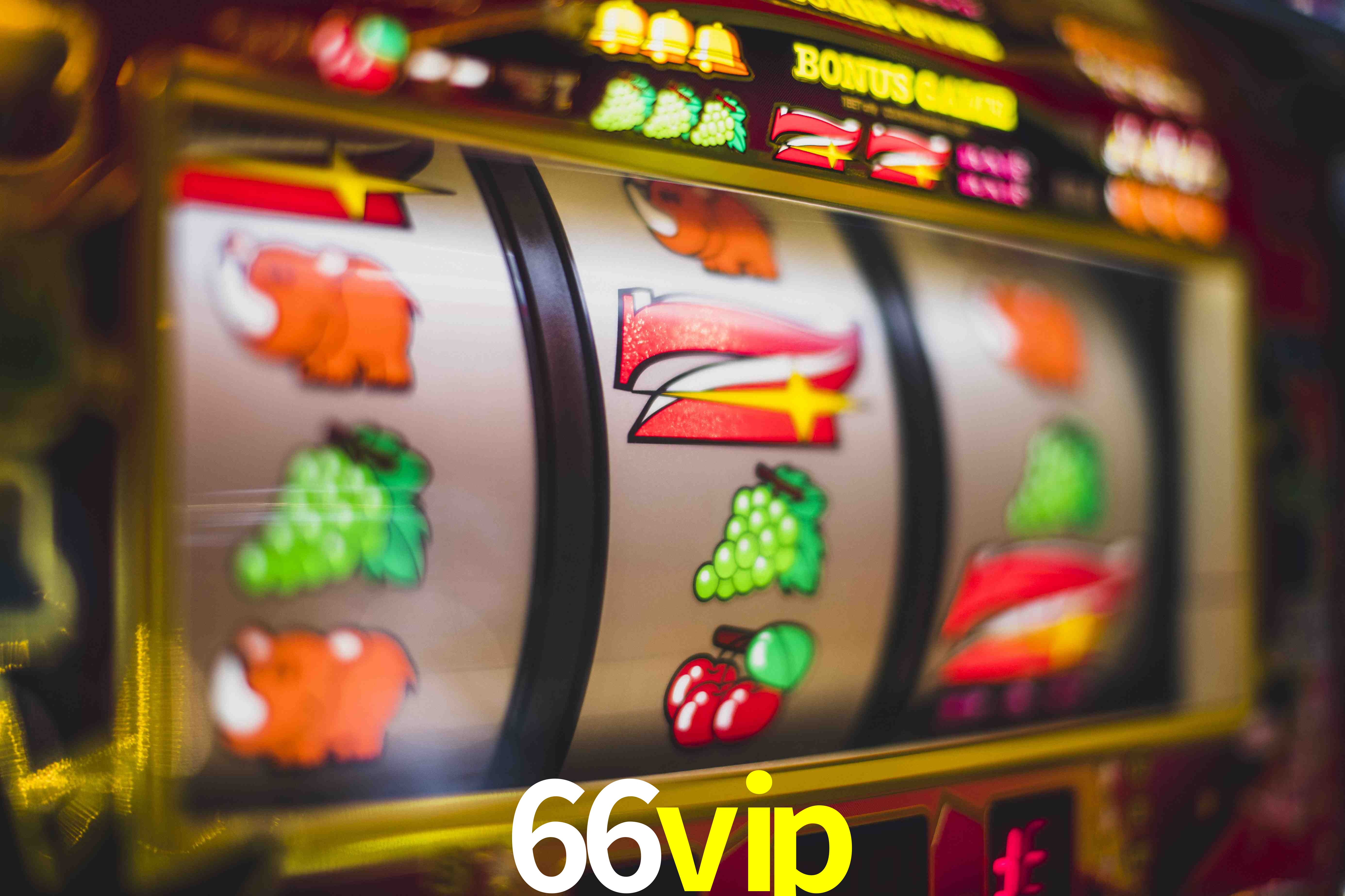 Football Betting 66vip